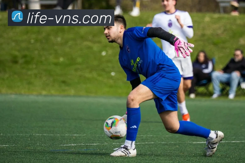 威尼斯人官网平台生态图